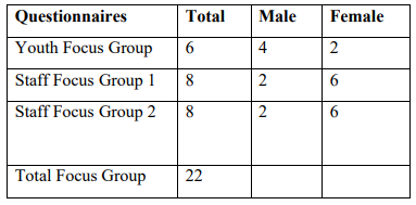 Table 2: Demographics of Focus Groups 